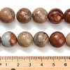 Natural Aqua Terra Jasper Beads Strands G-Z110-C01-14mm-5
