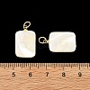 Natural Trochid Shell/Trochus Shell Pendans PALLOY-JF05925-3