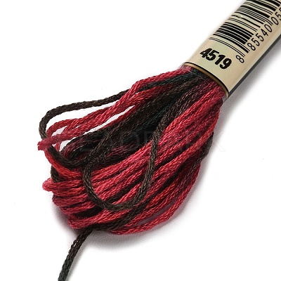 10 Skeins 6-Ply Polyester Embroidery Floss OCOR-K006-A05-1