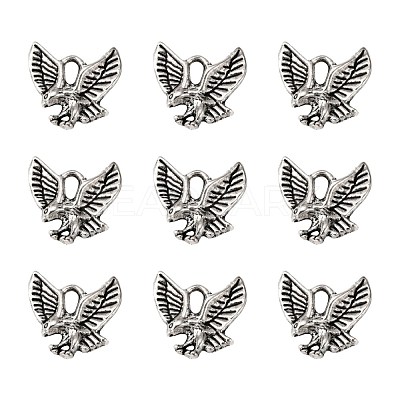 Tibetan Style Alloy Pendants TIBEP-20305-AS-NR-1