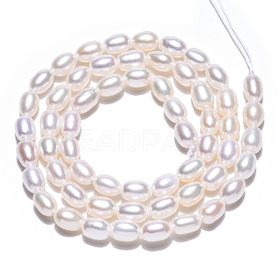Natural Cultured Freshwater Pearl Beads Strands PEAR-N012-04H-1