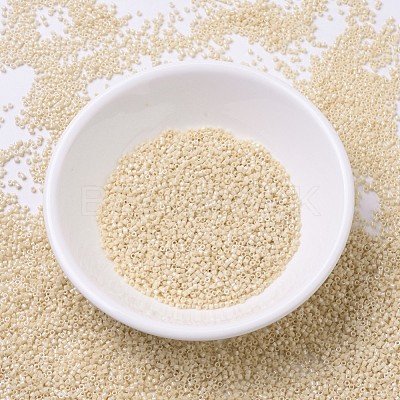 MIYUKI Delica Beads X-SEED-J020-DB0204-1