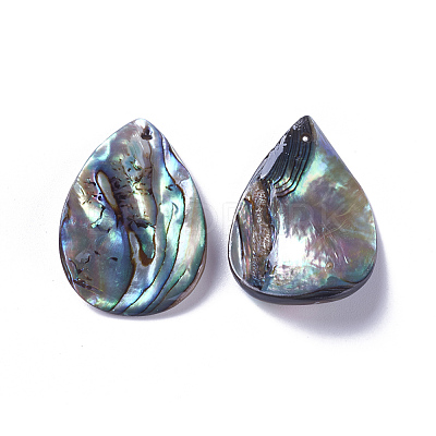 Natural Abalone Shell/Paua Shell Pendants SSHEL-F303-07-1