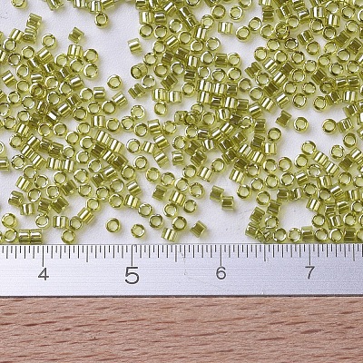 MIYUKI Delica Beads Small X-SEED-J020-DBS0124-1