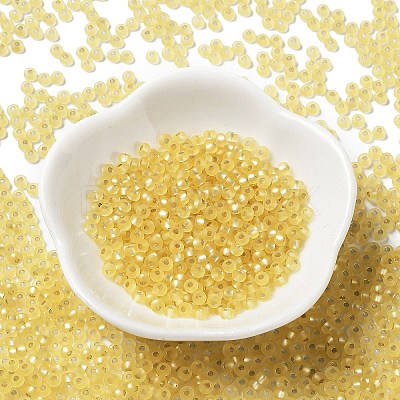 8/0 Glass Seed Beads SEED-Z001-C-E02-1