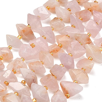 Natural Rose Quartz Beads Strands G-F833-T01-01-1