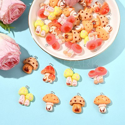 30Pcs 5 Styles Resin Pendants RESI-CJ0005-20-1