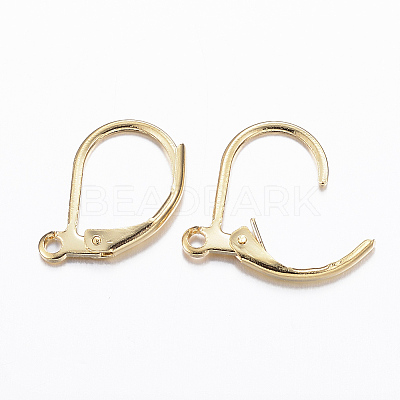 316L Surgical Stainless Steel Leverback Earring Findings STAS-E194-03G-1