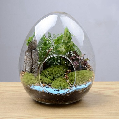 Egg-Shaped Glass Vase PW-WG75554-01-1