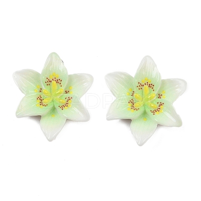 Opaque Resin Pendants CRES-D328-04B-1