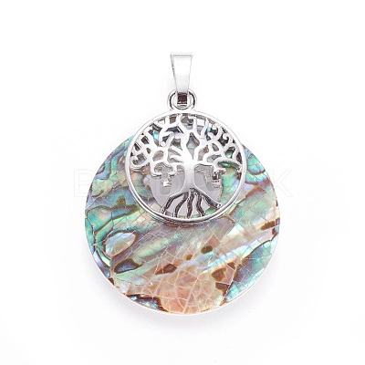 Abalone Shell/Paua Shell Pendants SSHEL-L008-50A-1