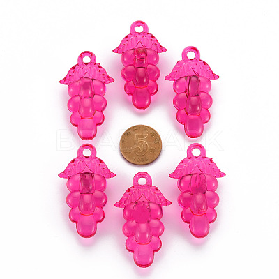 Autumn Theme Transparent Acrylic Beads TACR-S154-60B-906-1