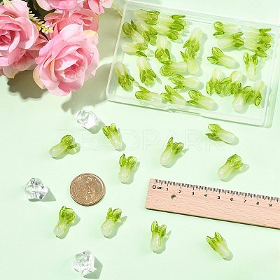 36Pcs Handmade Lampwork Beads LAMP-FS0001-74-1
