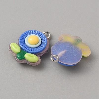Translucent Resin Pendants RESI-TAC0019-08E-1