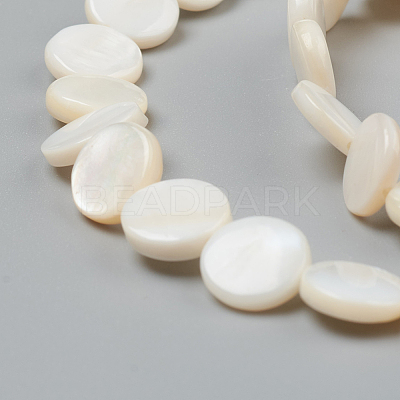Natural Freshwater Shell Beads BSHE-I011-01D-02-1