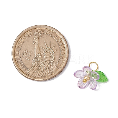Plastic & Acrylic Pendants PALLOY-JF03053-01-1