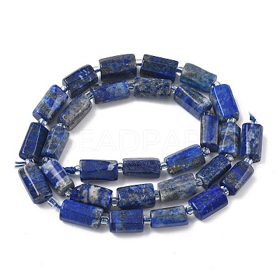 Natural Lapis Lazuli Beads Strands G-C270-K10-1