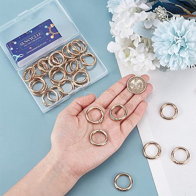 30Pcs Alloy Spring Gate Rings FIND-SC0009-08-1