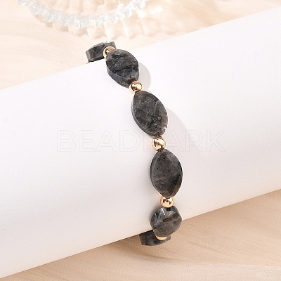 Horse Eye Natural Larvikite/Hematoid Quartz/Green Aventurine & Electroplate Non-magnetic Synthetic Hematite Beads Stretch Bracelets for Women BJEW-JB14076-1