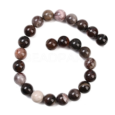 Natural Petrified Wood Beads Strands G-L648-A03-16mm-02-1