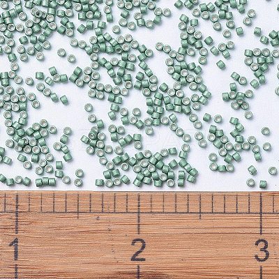MIYUKI Delica Beads SEED-X0054-DB1171-1