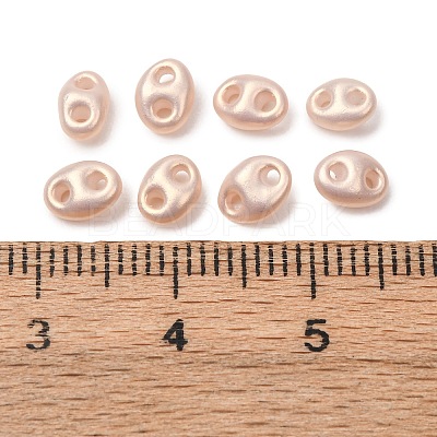 10G Opaque Colours Glass Seed Beads SEED-L013-02C-1