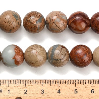 Natural Aqua Terra Jasper Beads Strands G-Z110-C01-14mm-1