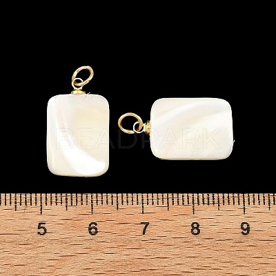 Natural Trochid Shell/Trochus Shell Pendans PALLOY-JF05925-1