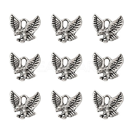 Tibetan Style Alloy Pendants TIBEP-20305-AS-NR-1