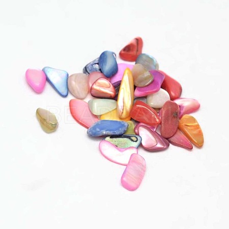 Dyed Natural Freshwater Shell Chip Beads X-BSHE-L010-05-1