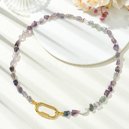 Women's Fluorite Necklaces NJEW-JN06639-1