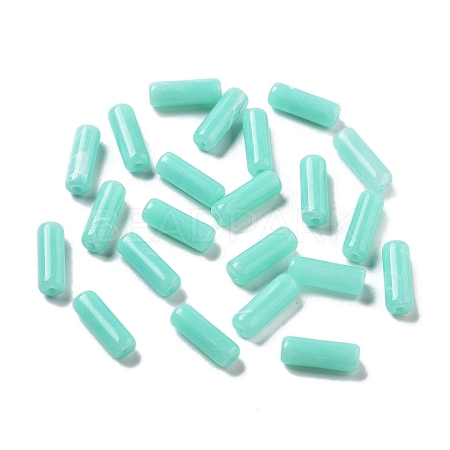 Opaque Acrylic Beads OACR-Q196-03I-1