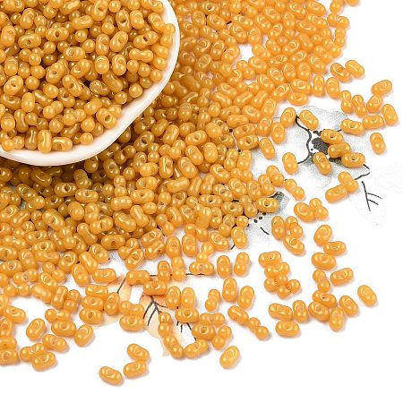 Baking Paint Glass Seed Beads SEED-L011-09A-22-1