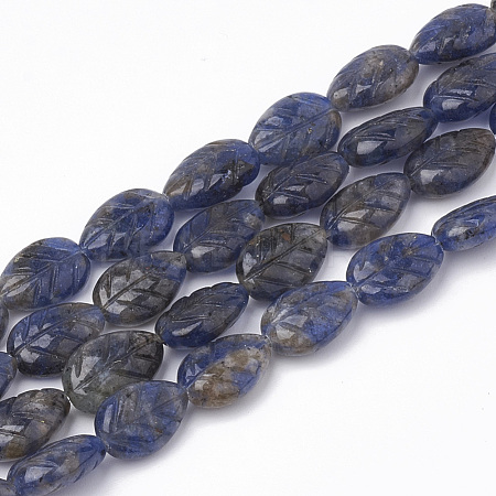Natural Sodalite Beads Strands G-T098-08A-1