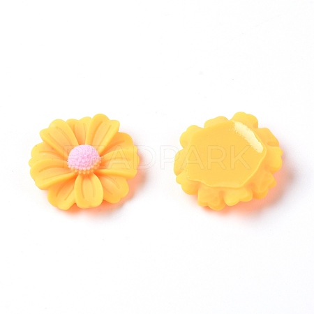 Resin Cabochons RESI-TAC0006-02C-02-1