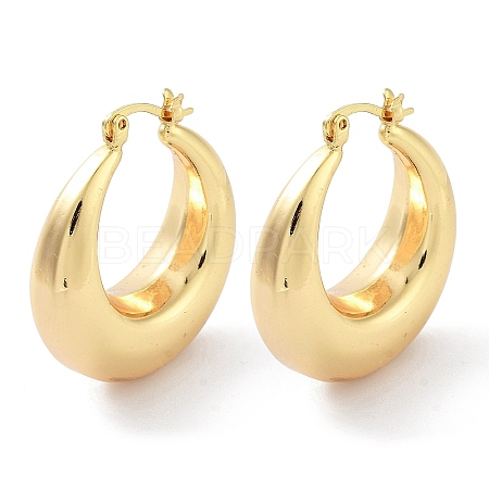 Brass Plain Hoop Earrings EJEW-H301-05G-01-1