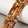 Round Natural Mookaite Beads Strands X-G-F216-4mm-19-1