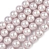 Electroplated Shell Pearl Beads Strands BSHE-G041-8mm-06-1