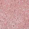TOHO 8/0 Round Beads X-SEED-TR08-0289-2