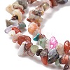 Natural Gemstone Beads Strands G-F328-26-6