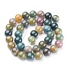 Natural Indian Agate Beads Strands GSR10mmC002-3