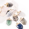 10Pcs 10 Style Natural Gemstone Pointed Pendants G-LS0002-04-3