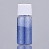 Shiny Laser Glitter Dust Powder X-DIY-L034-02B-1