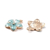 Zinc Alloy Enamel Pendants LS-PALLOY-I124-10G-E-2