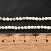 Natural Howlite Beads Strands G-Z068-B05-01-5