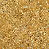 8/0 Glass Seed Beads X2-SEED-A005-3mm-22-2