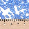 Baking Paint Glass Seed Beads SEED-L011-09A-05-4