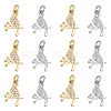 DICOSMETIC 12Pcs 2 Colors Brass Micro Pave Clear Cubic Zirconia Charms FIND-DC0003-27-1