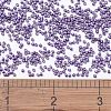 MIYUKI Delica Beads SEED-MY11-DB1185-4
