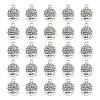 Tibetan Style Alloy Pendants FIND-DC0006-12B-1